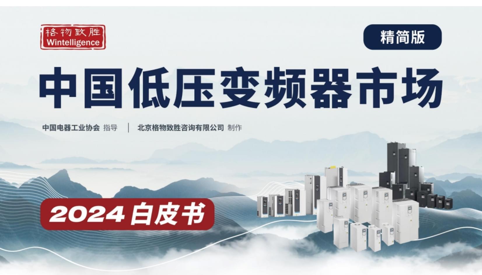 格物致胜 2024年中国低压变频器白皮书（精简版）